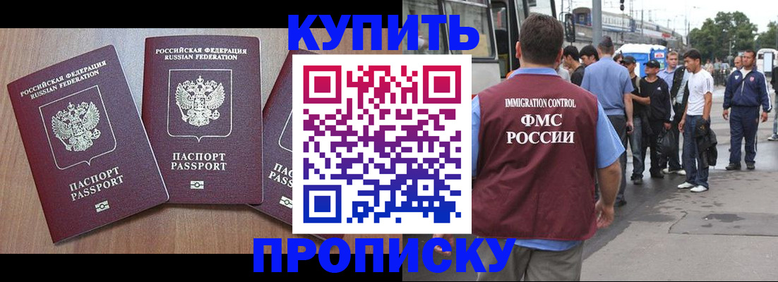прописка 2025 в Бабаево